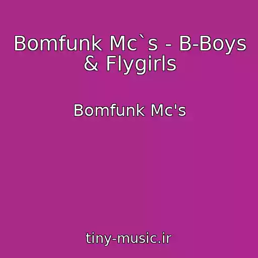 کاور آهنگ Bomfunk Mc`s - B-Boys & Flygirls از Bomfunk Mc's