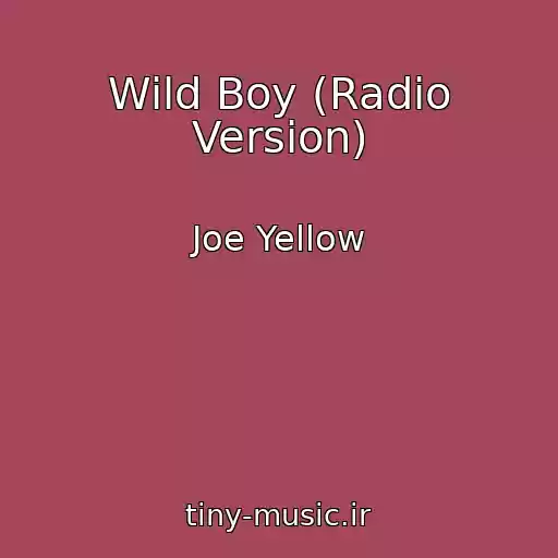 کاور آهنگ Wild Boy (Radio Version) از Joe Yellow