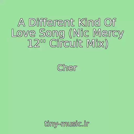 کاور آهنگ A Different Kind Of Love Song (Nic Mercy 12'' Circuit Mix) از Cher