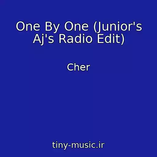 کاور آهنگ One By One (Junior's Aj's Radio Edit) از Cher