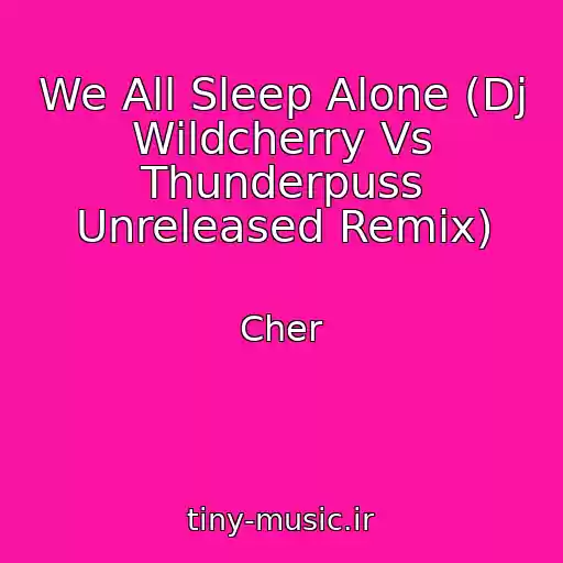 کاور آهنگ We All Sleep Alone (Dj Wildcherry Vs Thunderpuss Unreleased Remix) از Cher