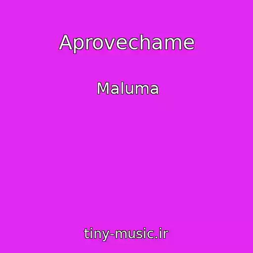 کاور آهنگ Aprovechame از Maluma
