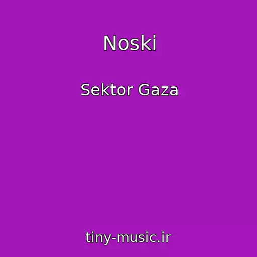 کاور آهنگ Noski از Sektor Gaza