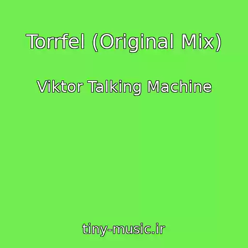 کاور آهنگ Torrfel (Original Mix) از Viktor Talking Machine