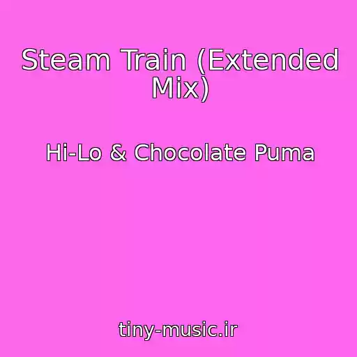 کاور آهنگ Steam Train (Extended Mix) از Hi-Lo & Chocolate Puma