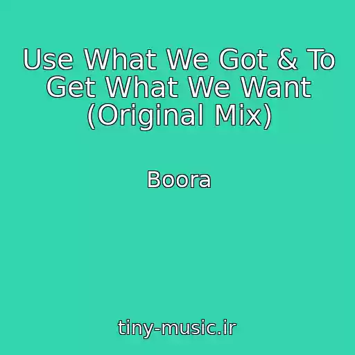 کاور آهنگ Use What We Got & To Get What We Want (Original Mix) از Boora