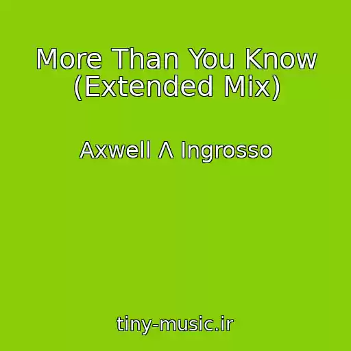 کاور آهنگ More Than You Know (Extended Mix) از Axwell Λ Ingrosso