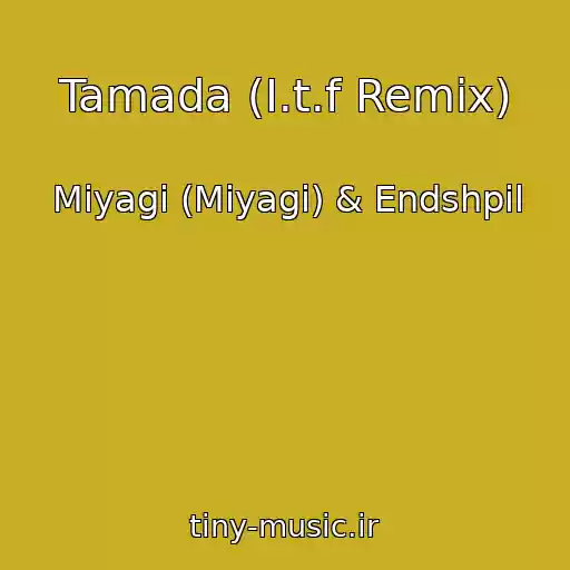 کاور آهنگ Tamada (I.t.f Remix) از Miyagi (Miyagi) & Endshpil
