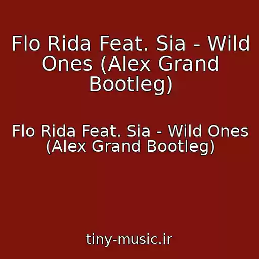 کاور آهنگ Flo Rida Feat. Sia - Wild Ones (Alex Grand Bootleg) از Flo Rida Feat. Sia - Wild Ones (Alex Grand Bootleg)