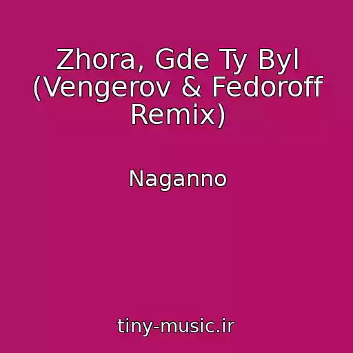 کاور آهنگ Zhora, Gde Ty Byl (Vengerov & Fedoroff Remix) از Naganno