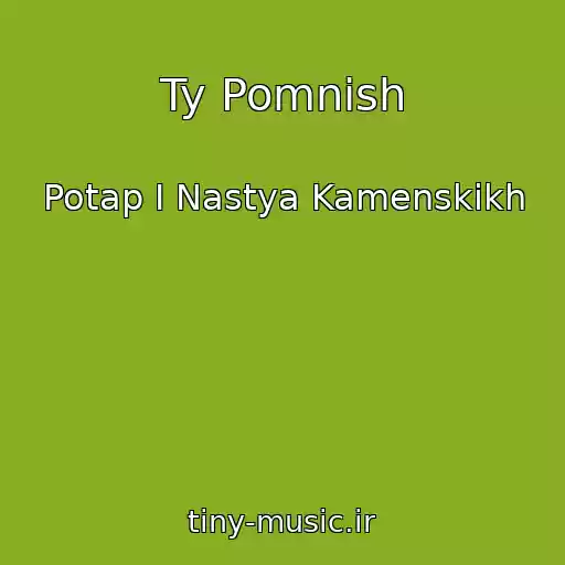 کاور آهنگ Ty Pomnish از Potap I Nastya Kamenskikh