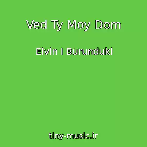 کاور آهنگ Ved Ty Moy Dom از Elvin I Burunduki