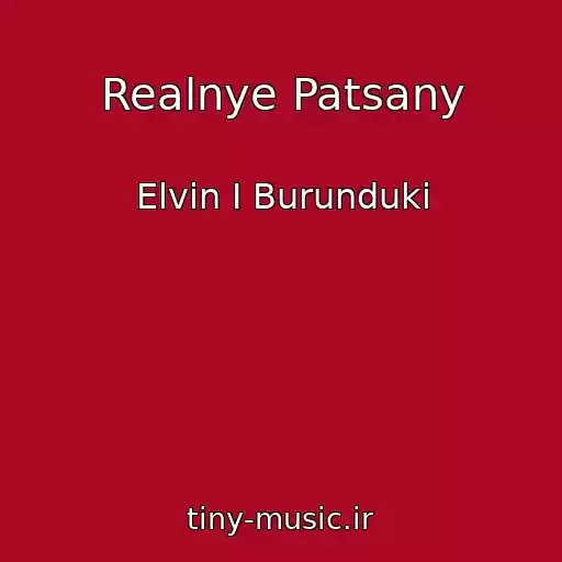 کاور آهنگ Realnye Patsany از Elvin I Burunduki