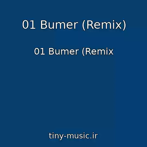 کاور آهنگ 01 Bumer (Remix) از 01 Bumer (Remix