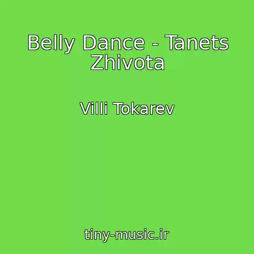 کاور آهنگ Belly Dance - Tanets Zhivota از Villi Tokarev