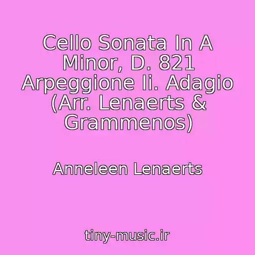 کاور آهنگ Cello Sonata In A Minor, D. 821 Arpeggione Ii. Adagio (Arr. Lenaerts & Grammenos) از Anneleen Lenaerts