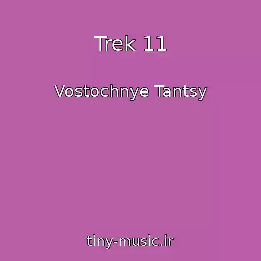 کاور آهنگ Trek 11 از Vostochnye Tantsy