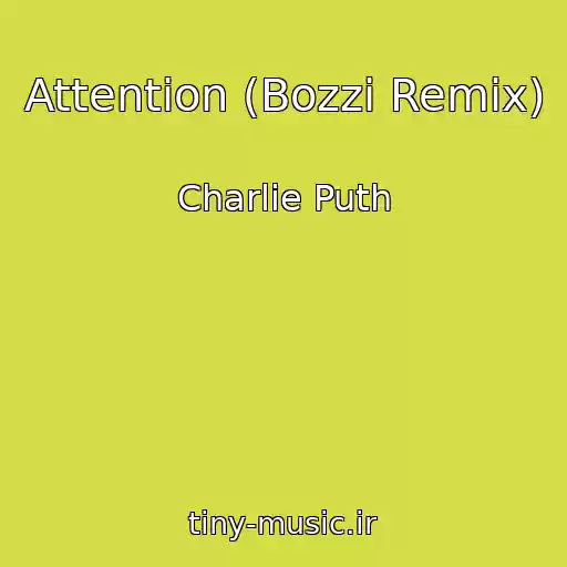 کاور آهنگ Attention (Bozzi Remix) از Charlie Puth