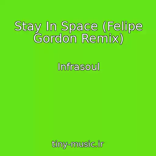 کاور آهنگ Stay In Space (Felipe Gordon Remix) از Infrasoul
