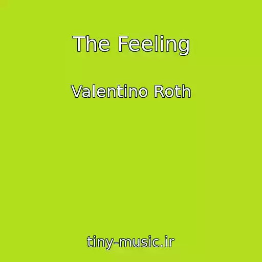 کاور آهنگ The Feeling از Valentino Roth