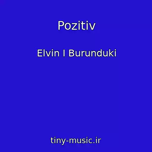 کاور آهنگ Pozitiv از Elvin I Burunduki