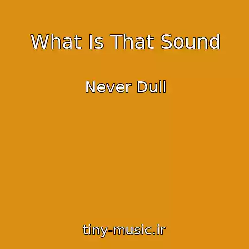 کاور آهنگ What Is That Sound از Never Dull