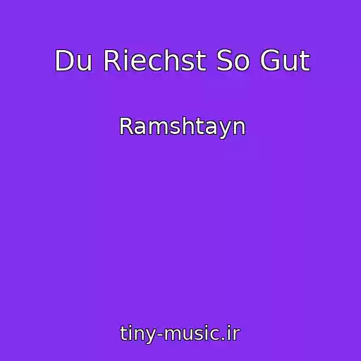 کاور آهنگ Du Riechst So Gut از Ramshtayn