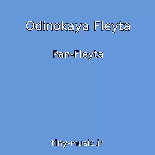 کاور آهنگ Odinokaya Fleyta از Pan-Fleyta