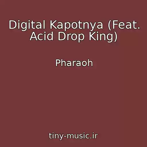 کاور آهنگ Digital Kapotnya (Feat. Acid Drop King) از Pharaoh