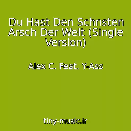 کاور آهنگ Du Hast Den Schnsten Arsch Der Welt (Single Version) از Alex C. Feat. Y-Ass