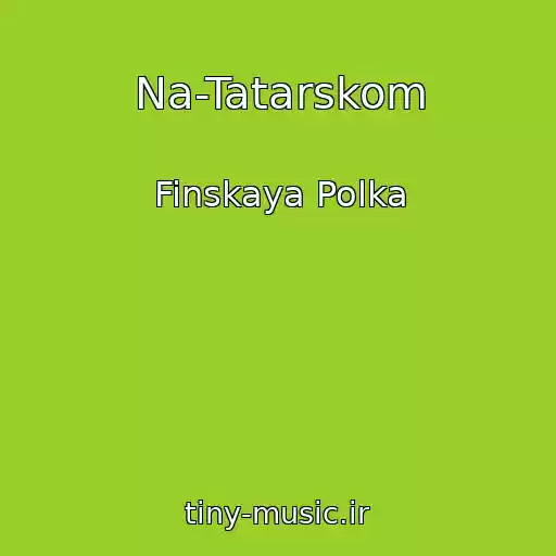 کاور آهنگ Na-Tatarskom از Finskaya Polka