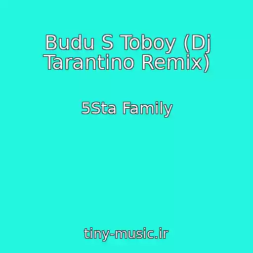 کاور آهنگ Budu S Toboy (Dj Tarantino Remix) از 5Sta Family
