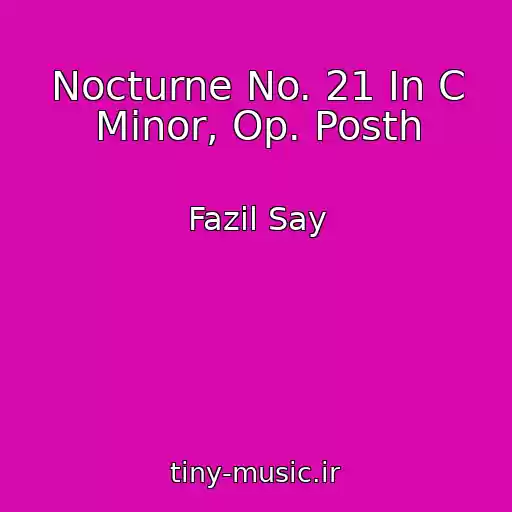 کاور آهنگ Nocturne No. 21 In C Minor, Op. Posth از Fazil Say
