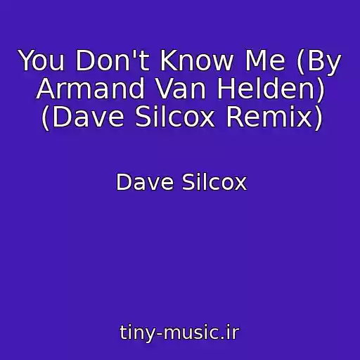 کاور آهنگ You Don't Know Me (By Armand Van Helden) (Dave Silcox Remix) از Dave Silcox
