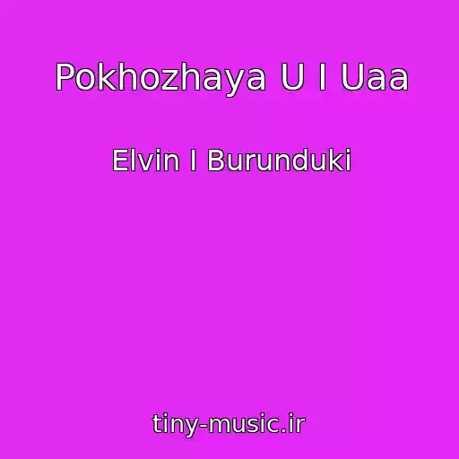 کاور آهنگ Pokhozhaya U I Uaa از Elvin I Burunduki