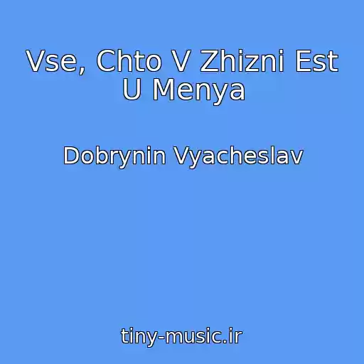 کاور آهنگ Vse, Chto V Zhizni Est U Menya از Dobrynin Vyacheslav