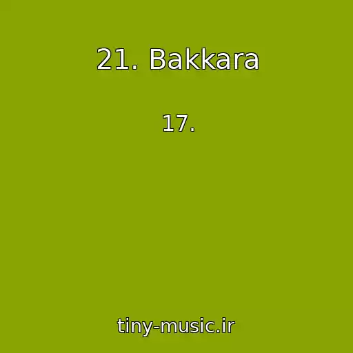 کاور آهنگ 21. Bakkara از 17.
