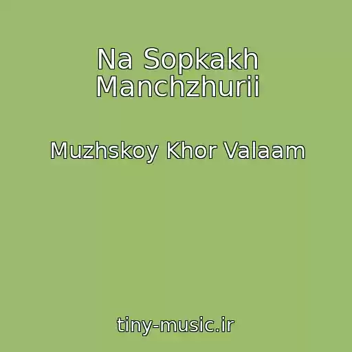 کاور آهنگ Na Sopkakh Manchzhurii از Muzhskoy Khor Valaam
