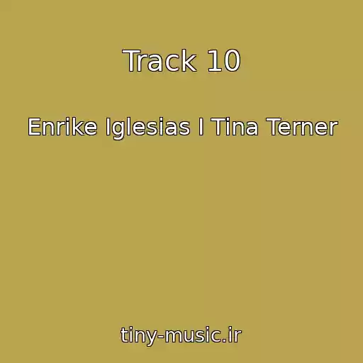 کاور آهنگ Track 10 از Enrike Iglesias I Tina Terner