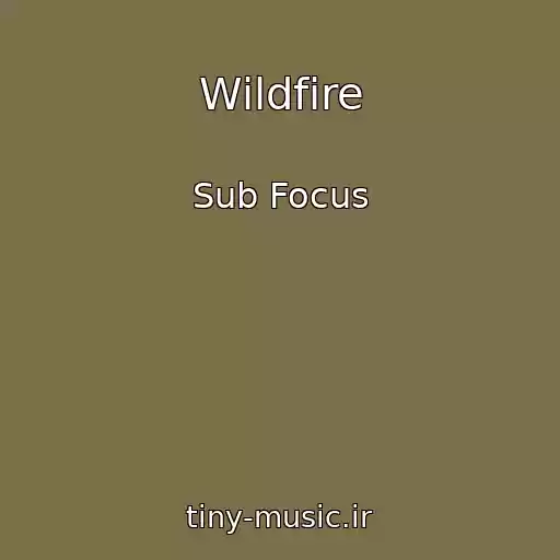 کاور آهنگ Wildfire از Sub Focus