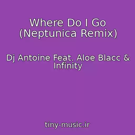 کاور آهنگ Where Do I Go (Neptunica Remix) از Dj Antoine Feat. Aloe Blacc & Infinity