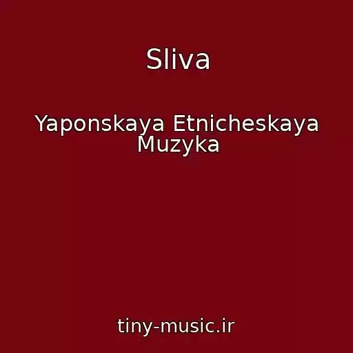 کاور آهنگ Sliva از Yaponskaya Etnicheskaya Muzyka