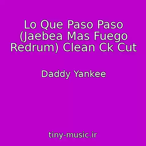 کاور آهنگ Lo Que Paso Paso (Jaebea Mas Fuego Redrum) Clean Ck Cut از Daddy Yankee
