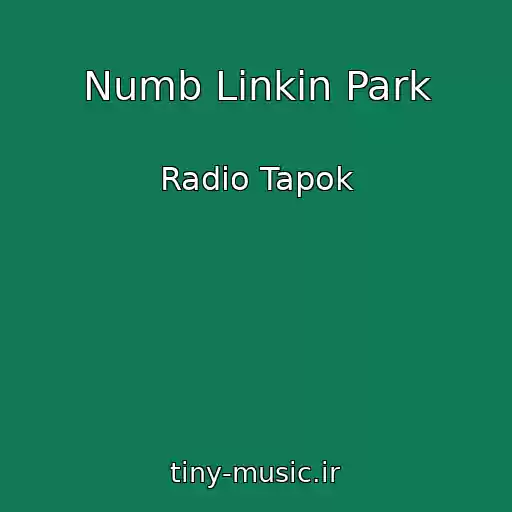 کاور آهنگ Numb Linkin Park از Radio Tapok