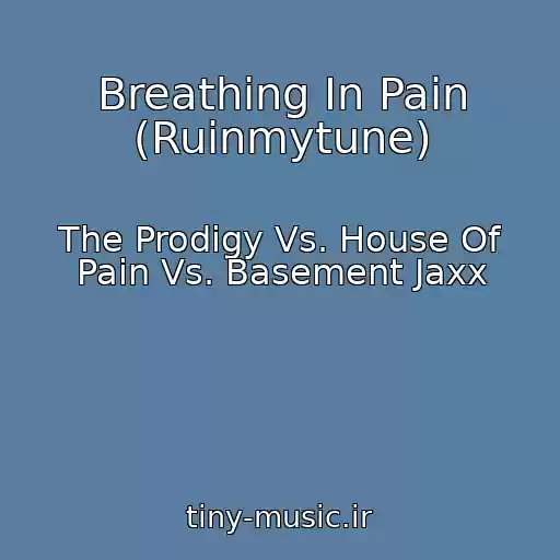 کاور آهنگ Breathing In Pain (Ruinmytune) از The Prodigy Vs. House Of Pain Vs. Basement Jaxx