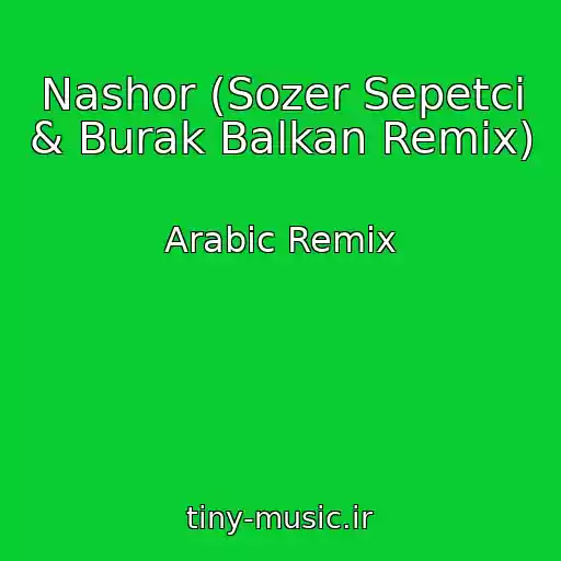 کاور آهنگ Nashor (Sozer Sepetci & Burak Balkan Remix) از Arabic Remix