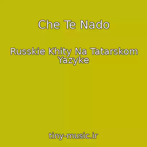 کاور آهنگ Che Te Nado از Russkie Khity Na Tatarskom Yazyke