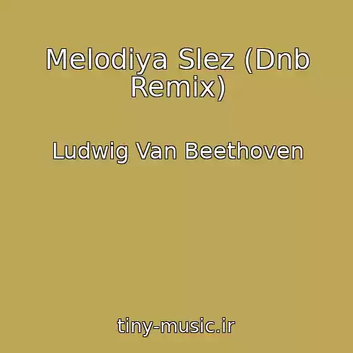 کاور آهنگ Melodiya Slez (Dnb Remix) از Ludwig Van Beethoven