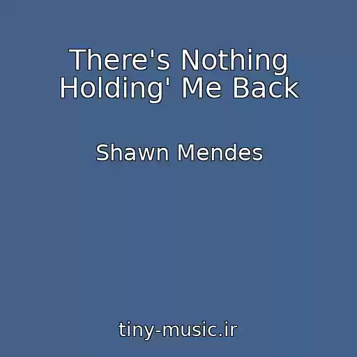 کاور آهنگ There's Nothing Holding' Me Back از Shawn Mendes