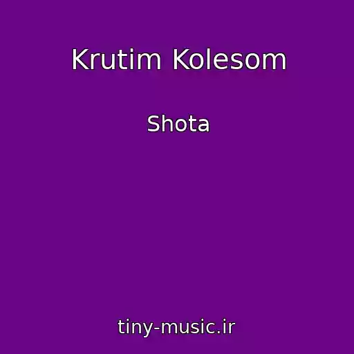 کاور آهنگ Krutim Kolesom از Shota
